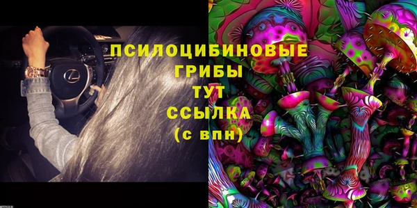 молекула духа Слюдянка