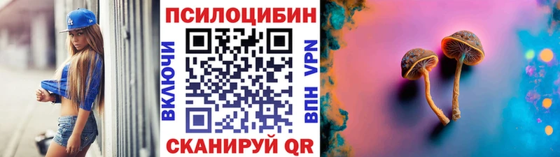 цены   Дигора  Галлюциногенные грибы Psilocybine cubensis 
